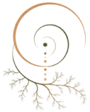 logo laprésencequirelie mycellium transparent